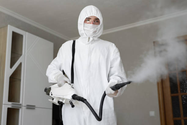 Best Emergency Mold Remediation in USA